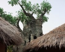 loro parque IMG_0875